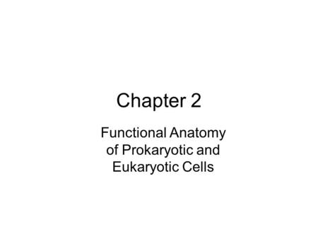 Functional Anatomy of Prokaryotic and Eukaryotic Cells