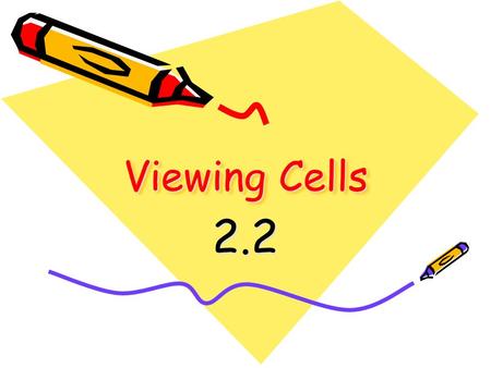 Viewing Cells 2.2. I. Microscopes Put magnification to work… 1) Go out side and grab a leaf or blade of grass. 2) Make a wet-mount slide 3)Observe and.