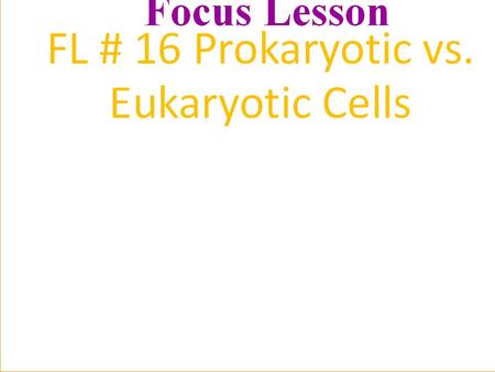 Two Major Divisions of Cells Prokaryotic Cells: bacteria Eukaryotic Cells: plant, animals, fungi, protistsbacteria.