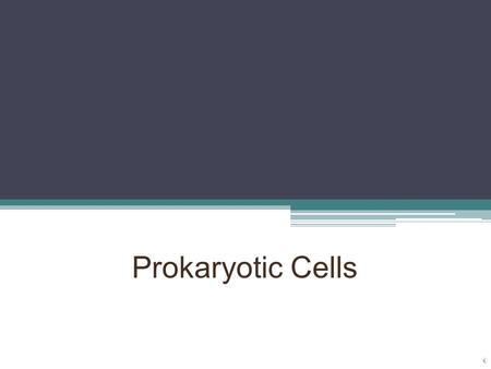 Prokaryotic Cells Prokaryotes – Two types Bacteria Found everywhere on earth Some bacteria can make you sick ▫ Streptococcus - Strep throat Some bacteria.