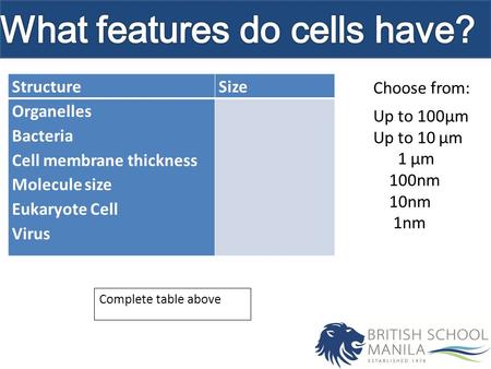 StructureSize Organelles Bacteria Cell membrane thickness Molecule size Eukaryote Cell Virus Complete table above Choose from: Up to 100µm Up to 10 µm.