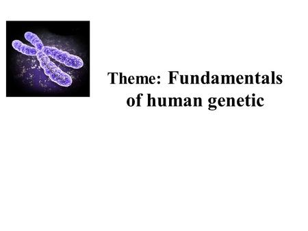 Theme: Fundamentals of human genetic. Plan of lecture: Introduction to Genetics and heredity Gregor Mendel – a brief bio Genetic terminology Monohybrid.