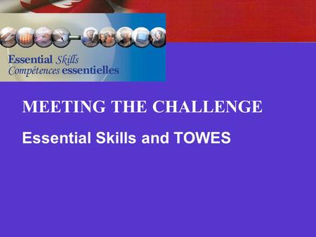 MEETING THE CHALLENGE Essential Skills and TOWES.