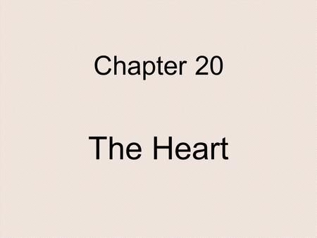 Chapter 20 The Heart. Position of the Heart Mediastinum Pericardium Epicardium Myocardium Endocardium.