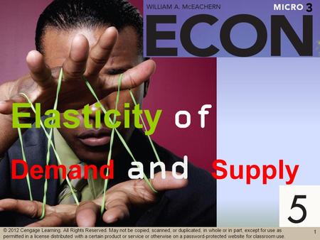 Elasticity of Demand and Supply 1 © 2012 Cengage Learning. All Rights Reserved. May not be copied, scanned, or duplicated, in whole or in part, except.