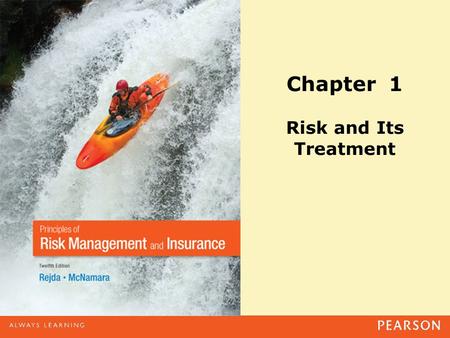 Chapter 1 Risk and Its Treatment