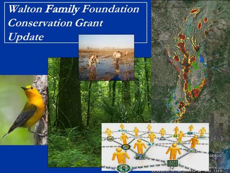 NAWCA WFF Cons Grant NAWCA Walton Family Foundation Conservation Grant Update Brief History & Context Early 2009 > Initial discussions with WFF through.