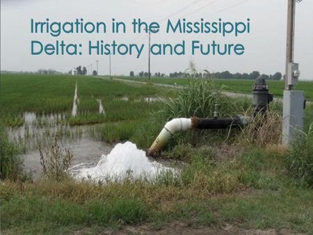 Mississippi River Flood Plain prior to landscape modifications for agriculture Land Characterization:  Bottomland hardwood wetlands  Annual flooding.