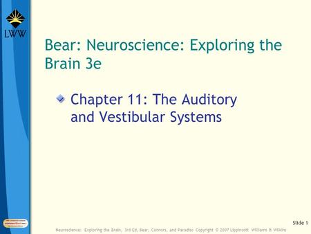 Slide 1 Neuroscience: Exploring the Brain, 3rd Ed, Bear, Connors, and Paradiso Copyright © 2007 Lippincott Williams & Wilkins Bear: Neuroscience: Exploring.