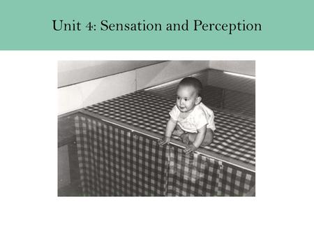 Unit 4: Sensation and Perception