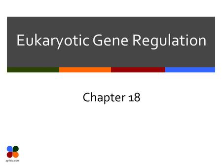 Eukaryotic Gene Regulation