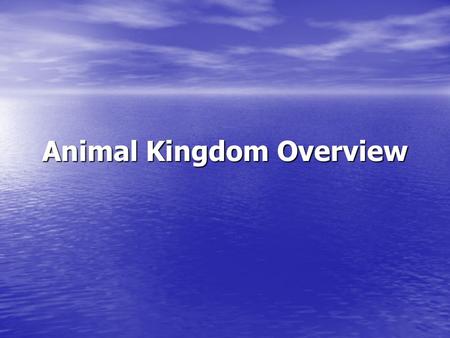 Animal Kingdom Overview. What Makes It An Animal? Eukaryotic – has a nucleus Multicellular Specialized cells that form tissue and organs. No cell walls.