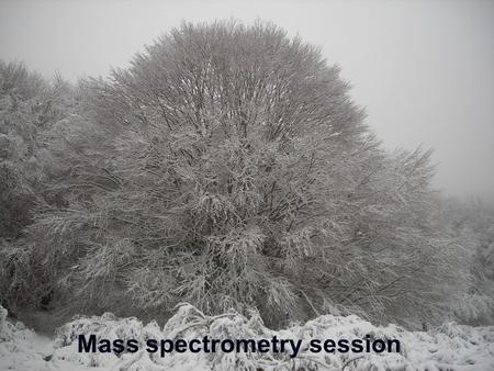 Mass spectrometry session. Summary Fiehn (1) Standardization important Reporting important, but has to be feasible Does not matter which MS instrument.