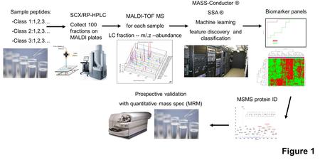 Sample peptides: -Class 1:1,2,3… -Class 2:1,2,3… -Class 3:1,2,3… SCX/RP-HPLC Collect 100 fractions on MALDI plates MALDI-TOF MS for each sample LC fraction.