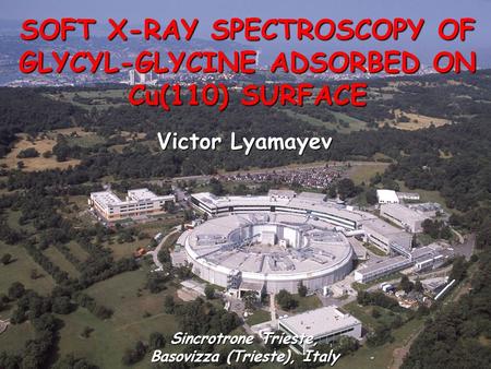 Materials Science Beamline OSU, Columbus, June 21-25, 2010 SOFT X-RAY SPECTROSCOPY OF GLYCYL-GLYCINE ADSORBED ON Cu(110) SURFACE Sincrotrone Trieste, Basovizza.