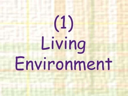 (1) Living Environment Since 30 June 2002, 57 per cent of the aged population in Hong Kong has been living in public housing flats. The Housing Authority.