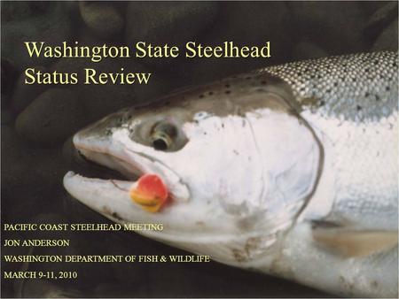 Washington State Steelhead Status Review PACIFIC COAST STEELHEAD MEETING JON ANDERSON WASHINGTON DEPARTMENT OF FISH & WILDLIFE MARCH 9-11, 2010.