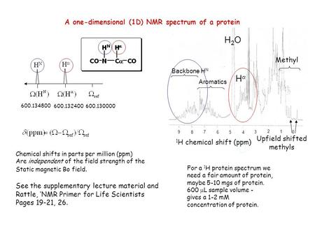 A one-dimensional (1D) NMR spectrum of a protein HNHN HH Chemical shifts in parts per million (ppm) Are independent of the field strength of the Static.