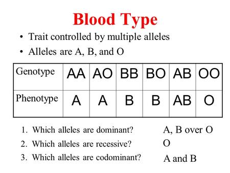 Blood Type AA AO BB BO AB OO A B O