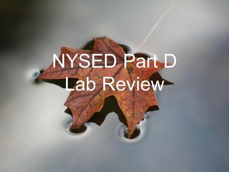 NYSED Part D Lab Review.