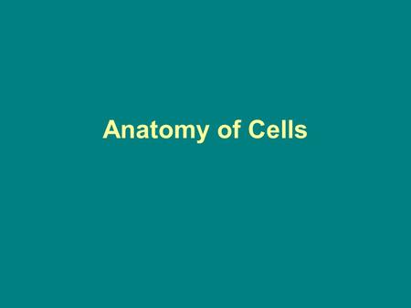 Anatomy of Cells.