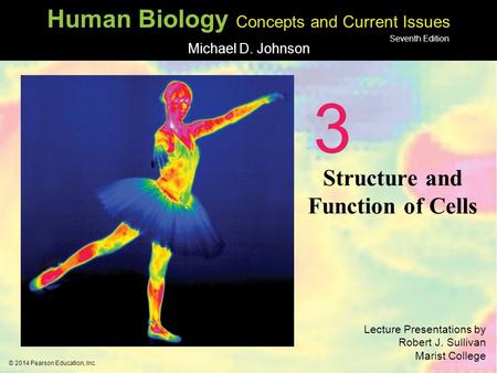 Structure and Function of Cells