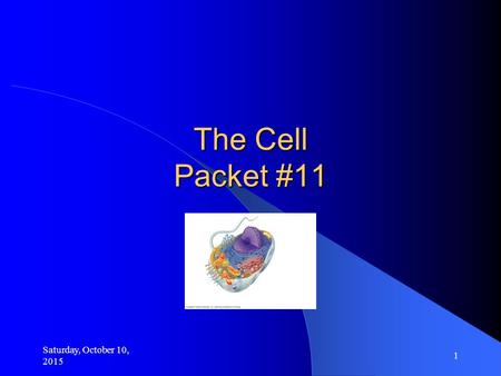 Saturday, October 10, 2015 1 The Cell Packet #11.