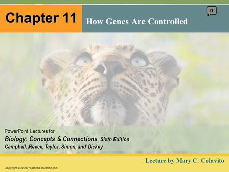 Copyright © 2009 Pearson Education, Inc. PowerPoint Lectures for Biology: Concepts & Connections, Sixth Edition Campbell, Reece, Taylor, Simon, and Dickey.