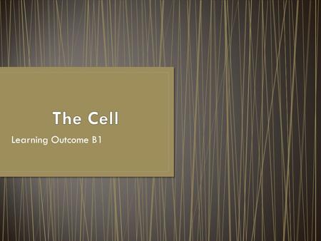 Learning Outcome B1. Analyze the functional inter-relationship of cell structures.