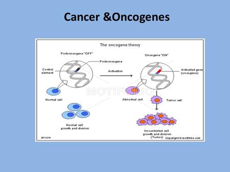 Cancer &Oncogenes. Objectives Define the terms oncogene, proto-oncogenes and growth factors giving examples. Describe the mechanisms of activations of.