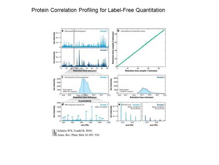 Protein Correlation Profiling for Label-Free Quantitation.