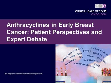 Anthracyclines in Early Breast Cancer: Patient Perspectives and Expert Debate This program is supported by an educational grant from.