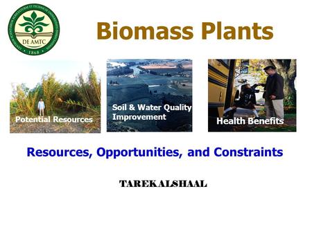 Biomass Plants Resources, Opportunities, and Constraints Resources Soil & Water Quality Improvement Health Benefits Potential Resources TAREK ALSHAAL.