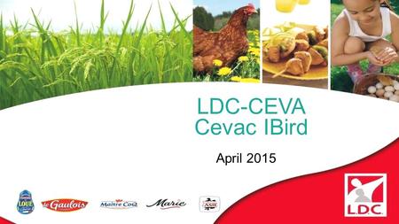 LDC-CEVA Cevac IBird April 2015.