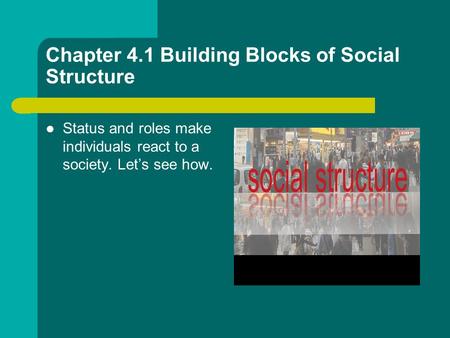 Chapter 4.1 Building Blocks of Social Structure