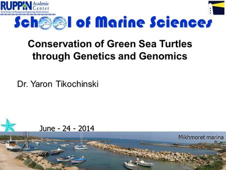 Sch l of Marine Sciences June - 24 - 2014 Mikhmoret marina Conservation of Green Sea Turtles through Genetics and Genomics Dr. Yaron Tikochinski.