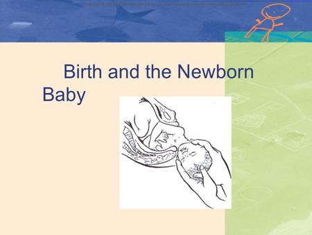 Copyright © The McGraw-Hill Companies, Inc. Permission required for reproduction or display Birth and the Newborn Baby Chapter 5.