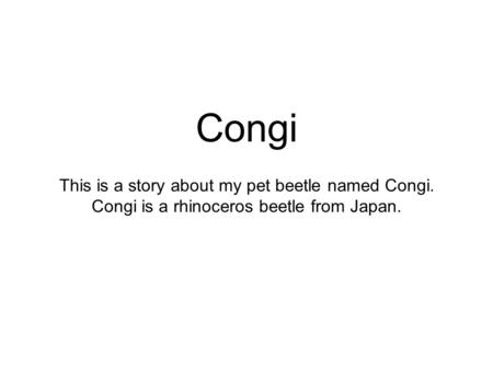 Congi This is a story about my pet beetle named Congi. Congi is a rhinoceros beetle from Japan.