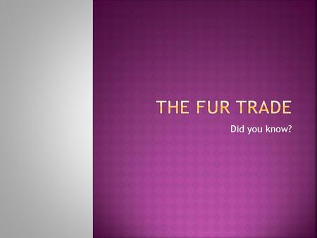 Did you know?.  The fur trade followed the seasons. Trapping and hunting were carried on in the winter because the fur is thickest and in the best (or.