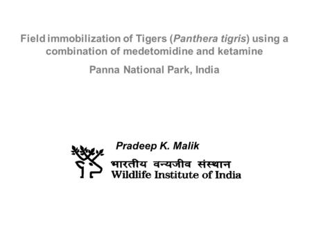 Panna National Park, India