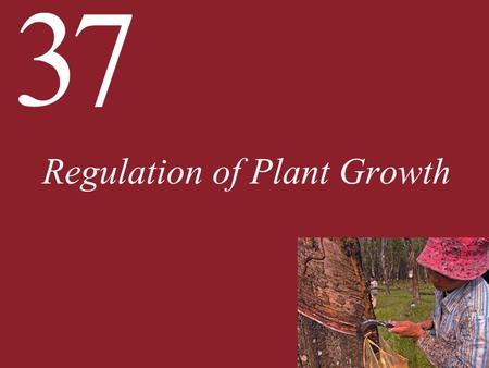 Regulation of Plant Growth