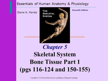 Essentials of Human Anatomy & Physiology Copyright © 2003 Pearson Education, Inc. publishing as Benjamin Cummings Seventh Edition Elaine N. Marieb Chapter.