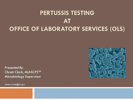 PERTUSSIS TESTING AT OFFICE OF LABORATORY SERVICES (OLS) Presented By: Christi Clark, M(ASCP) CM Microbiology Supervisor