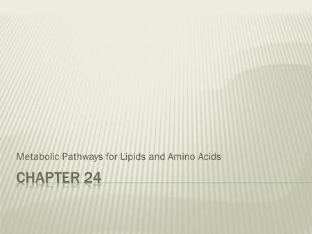 Metabolic Pathways for Lipids and Amino Acids.  Lipids  fatty acids and glycerol  Proteins  amino acids  Gives us the nitrogen to synthesize nitrogen-containing.