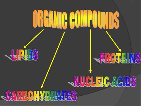 Basic Vocabulary  Monomer – basic unit of a polymer  Polymer – Large molecule composed of repeating basic units or monomers.