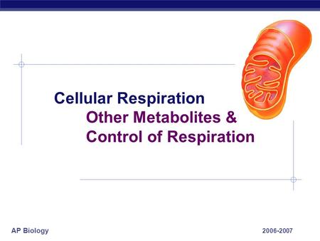 AP Biology 2006-2007 Cellular Respiration Other Metabolites & Control of Respiration.