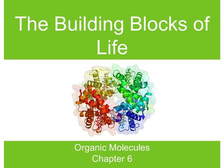 The Building Blocks of Life