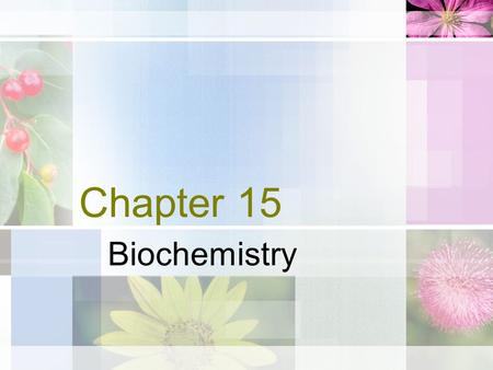 Chapter 15 Biochemistry. Energy of Life Sun energy is converted to chemical energy by plants 6CO 2 + 6H 2 O  C 6 H 12 O 6 + 6O 2 Building energy molecules.