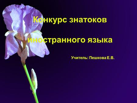 Конкурс знатоков иностранного языка Учитель: Пешкова Е.В.