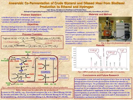 Anaerobic Co-Fermentation of Crude Glycerol and Oilseed Meal from Biodiesel Production to Ethanol and Hydrogen Lijun Wang, Abolghasem Shahbazi and Michele.